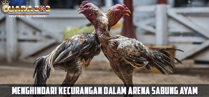 Menghindari Kecurangan Dalam Arena Sabung Ayam