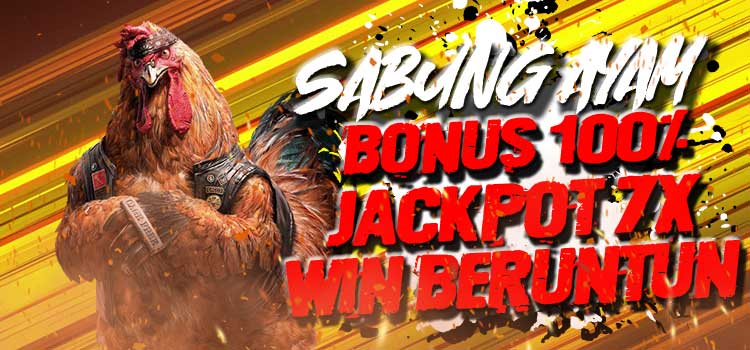 Bonus 100% Jackpot Sabung Ayam Online Sv388