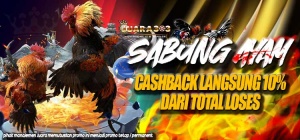 Jackpot 7X Win Berunrtun Sabung Ayam Online Terpercaya